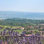 Вилла La Limonera *