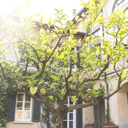 La Limonera Casciago